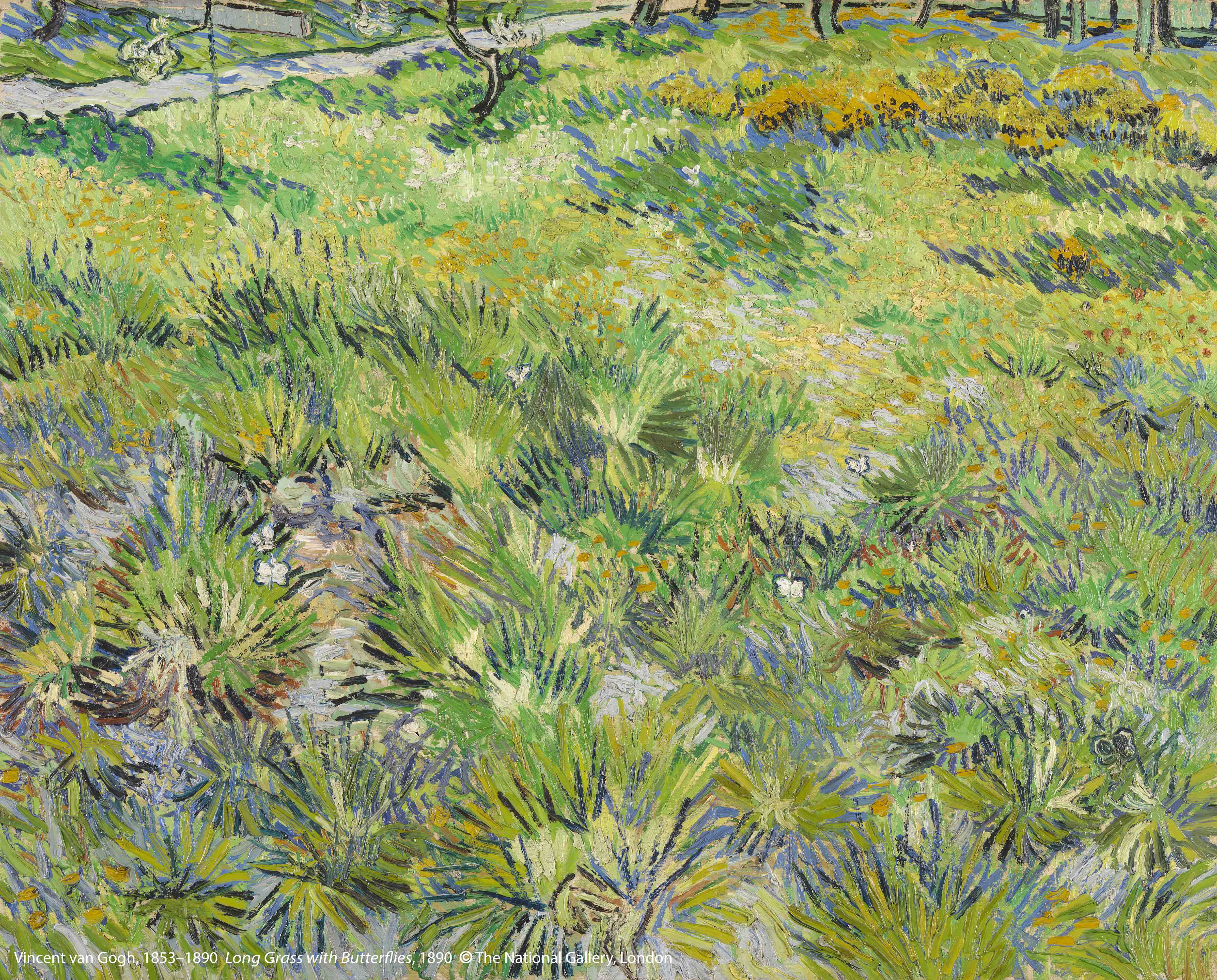 文 森 ． 梵 谷 （ 1 8 5 3 – 1 8 9 0 ） 作 品 〈 長 草 地 與 蝴 蝶 〉 ， 1 8 9 0 年 創 作 。 圖 片 版 權 ： 英 國 國 家 藝 廊 