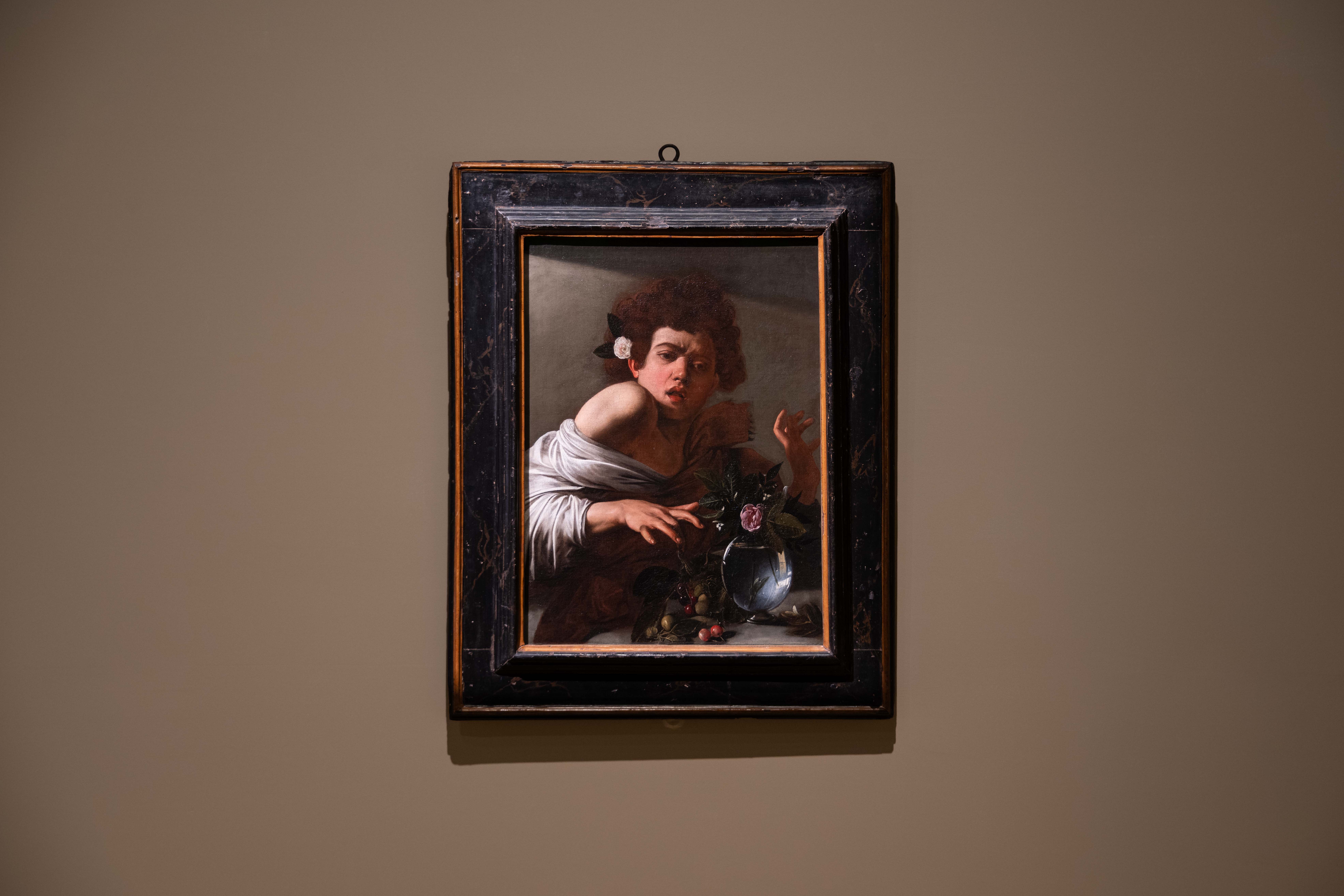 奇 美 博 物 館 《 英 國 國 家 藝 廊 珍 藏 展 》 第 二 單 元 「 從 王 室 到 平 民 ： 巴 洛 克 繪 畫 」 _ 米 開 朗 基 羅 ． 梅 里 西 ． 達 ． 卡 拉 瓦 喬 （ 1 5 7 1 - 1 6 1 0 ） 作 品 〈 被 蜥 蜴 咬 傷 的 男 孩 〉 ， 約 1 5 9 4 - 1 5 9 5 年 創 作 。 圖 / 奇 美 博 物 館 提 供 
