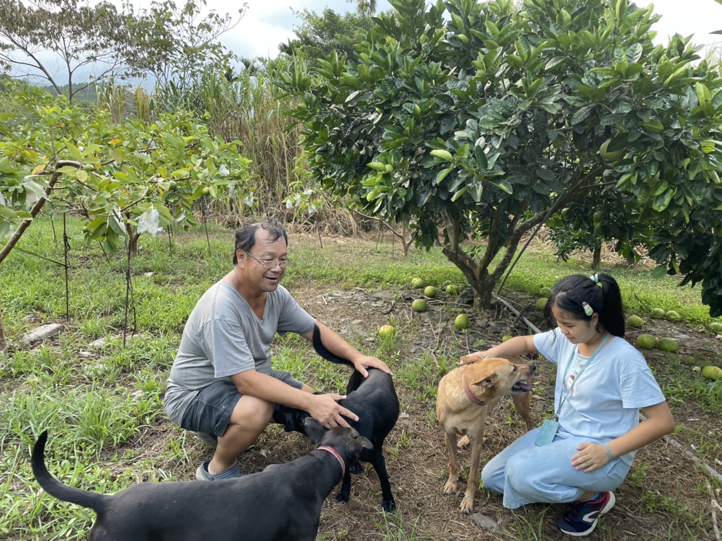 阿 原 肥 皂 老 闆 江 榮 原 先 生 分 享 宜 蘭 三 星 鄉 「 把 度 農 場 」 老 闆 堅 哥 ( 左 ) 因 受 傷 ， 需 要 協 助 採 收 芭 樂 ， 日 前 我 和 家 人 立 即 前 往 支 持 ， 嚐 到 鮮 果 又 交 到 新 朋 友 ， 收 穫 豐 碩 ！ 