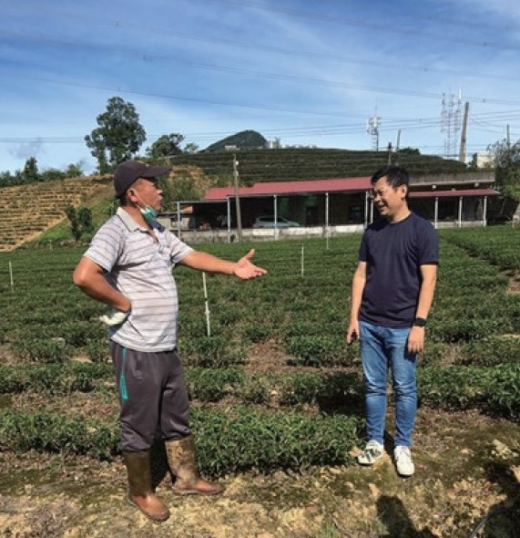 輔 導 茶 農 使 用 低 磷 肥 料 